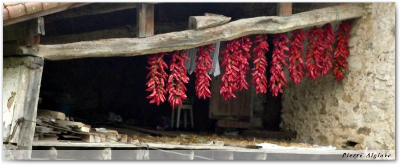 Piments