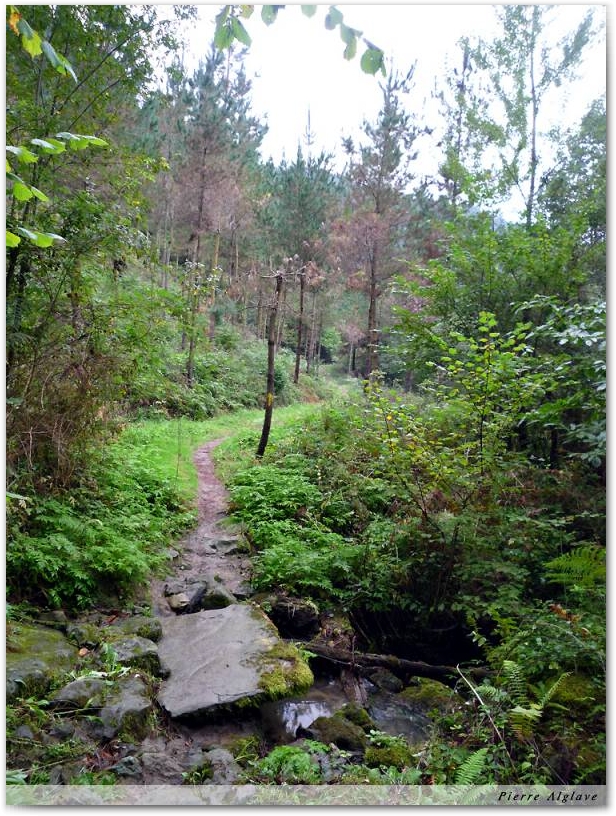 Le chemin
