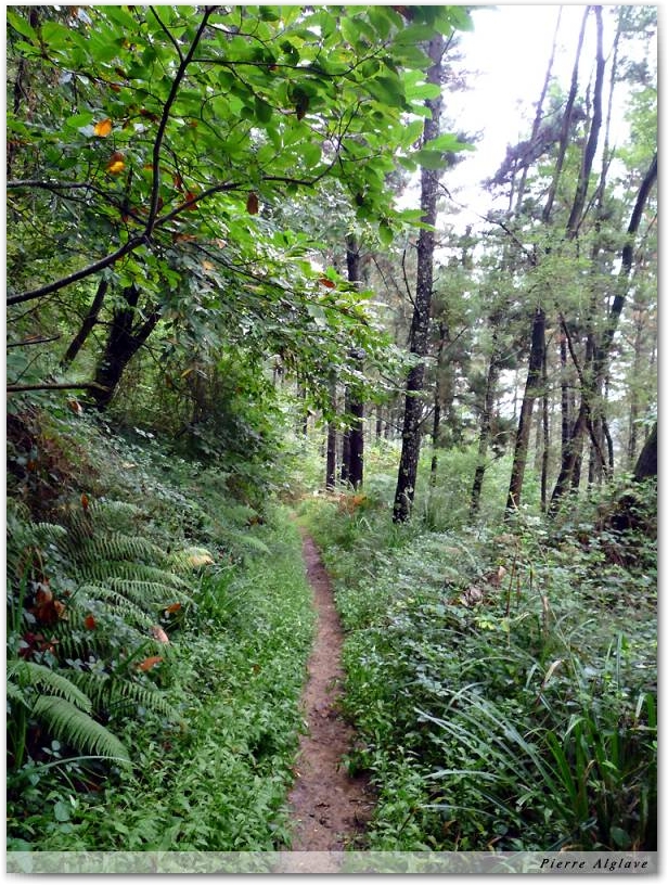 Le chemin