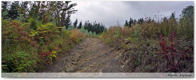 Le chemin