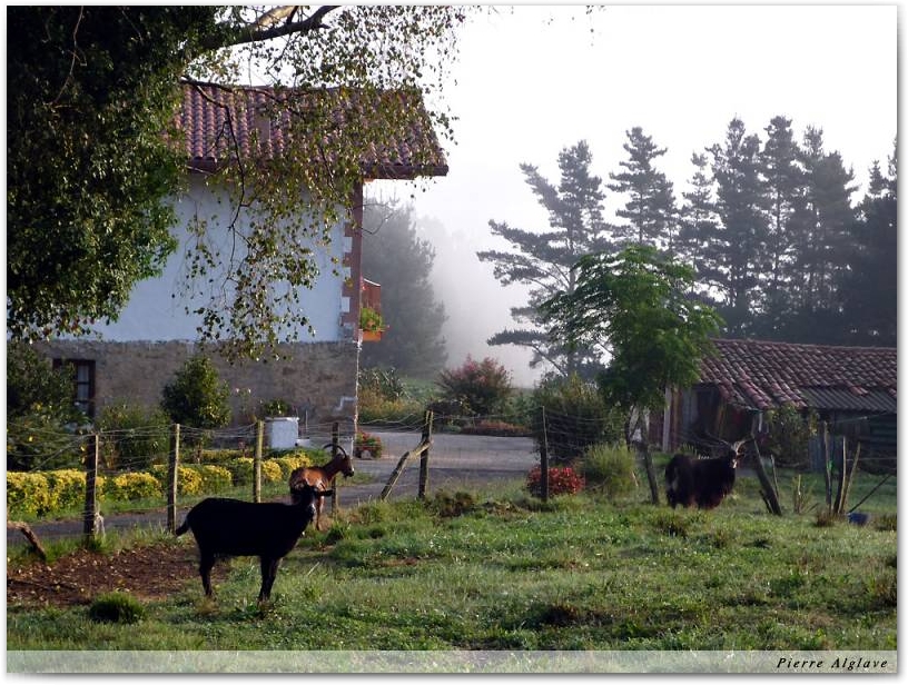 En chemin