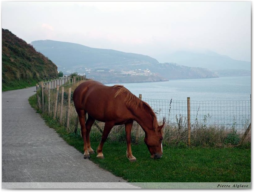 Un randonneur