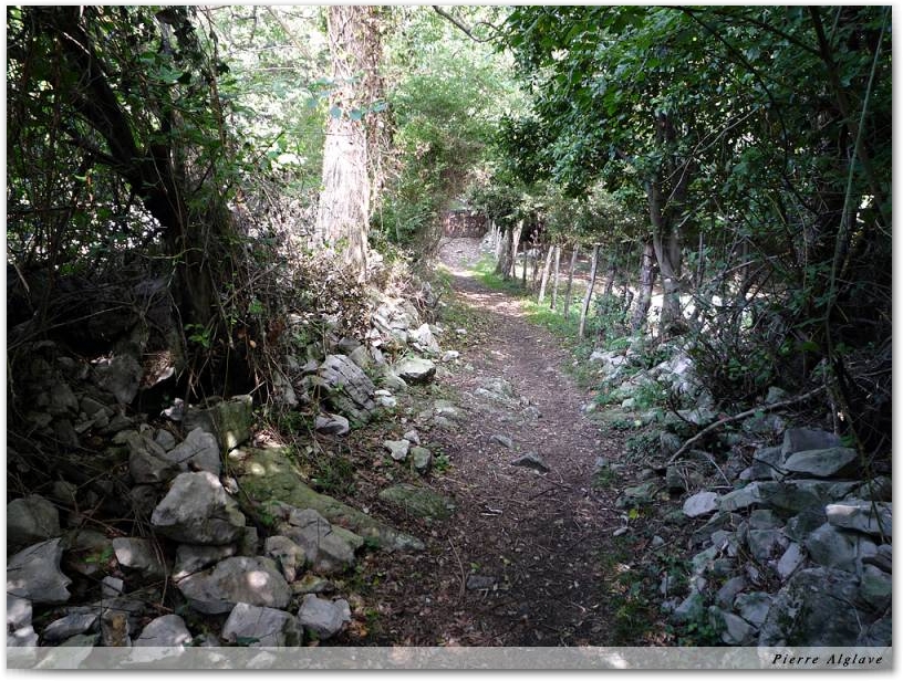 Chemin