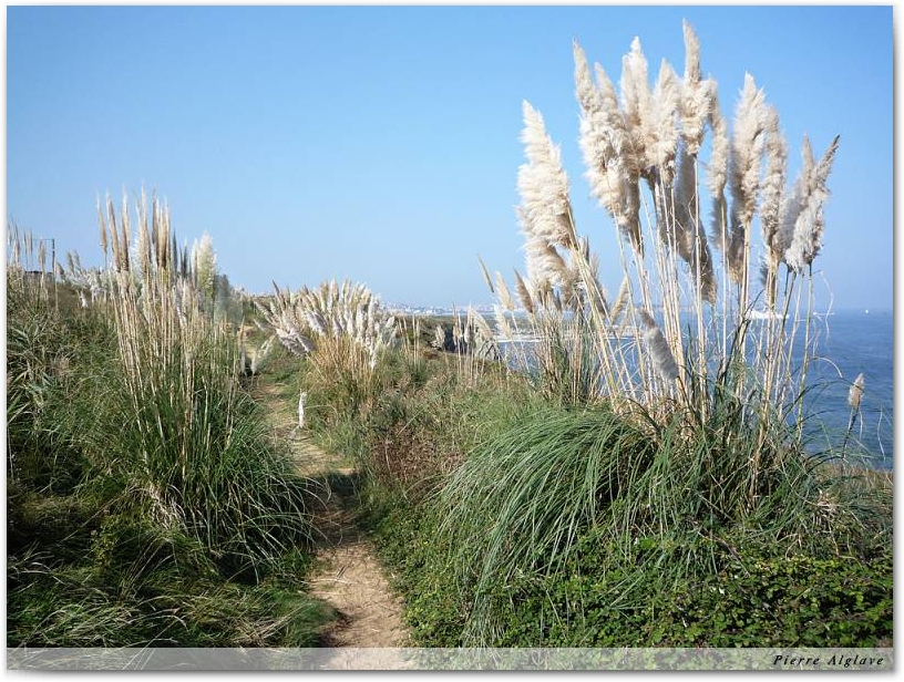 Le chemin