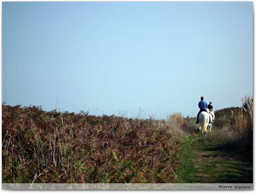 Le chemin