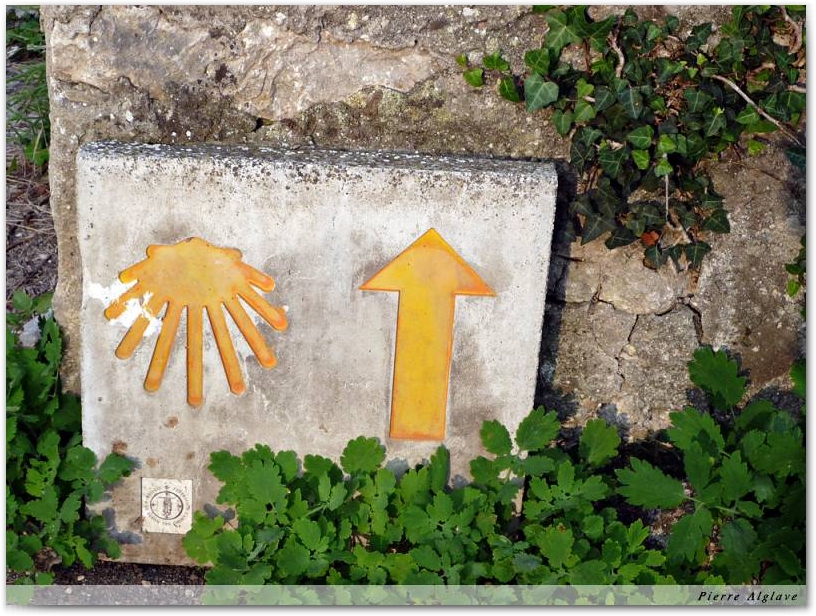 Signes