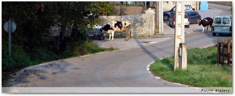 Autres usagers du Chemin