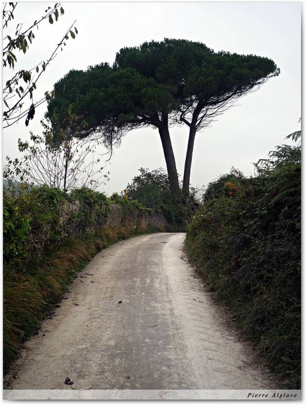 Le Chemin