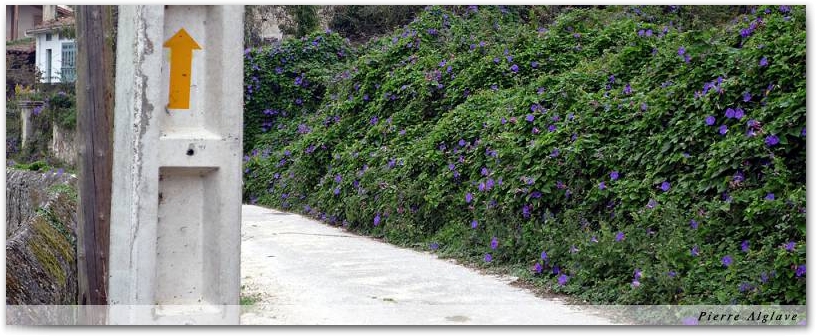 Le chemin
