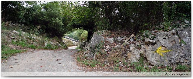 Le chemin