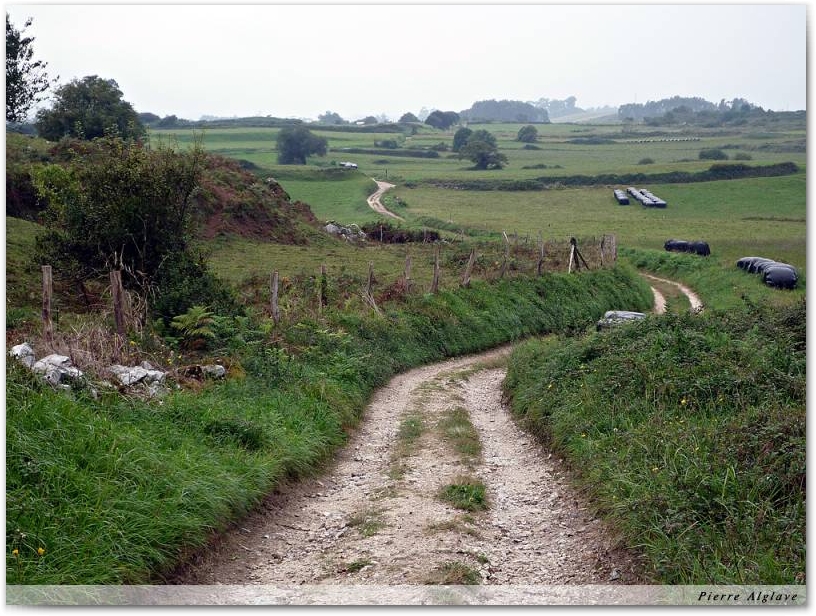 Le chemin