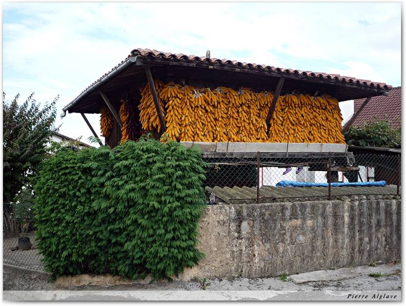 Horreo