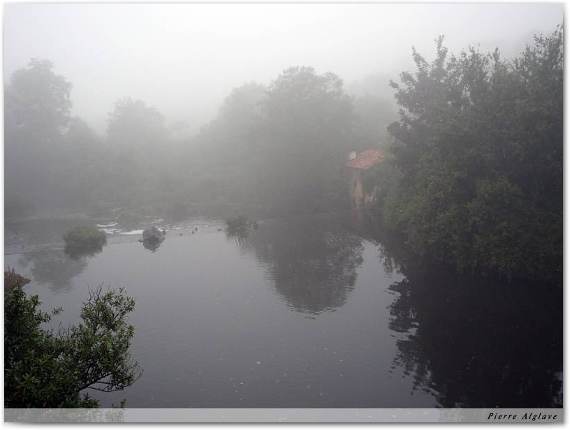 Brume