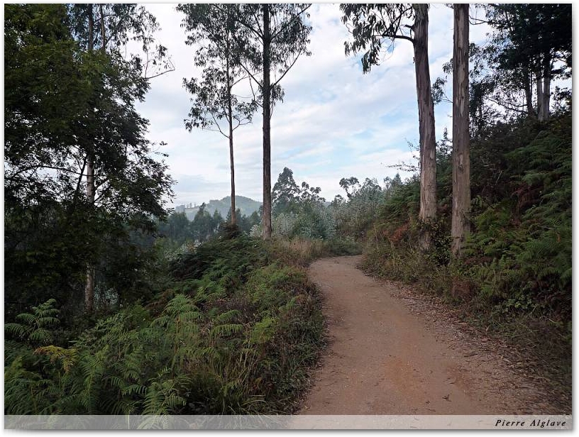 Le chemin
