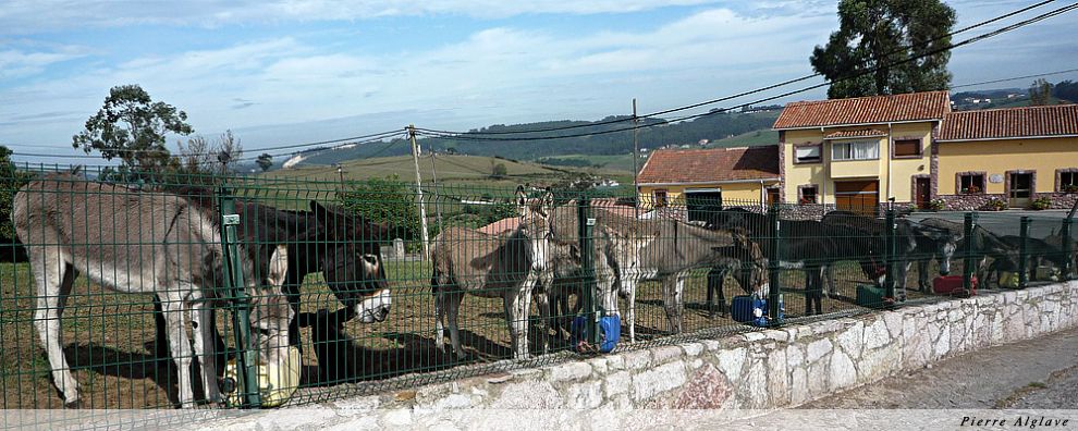 Rencontres du Chemin Rencontres du Chemin