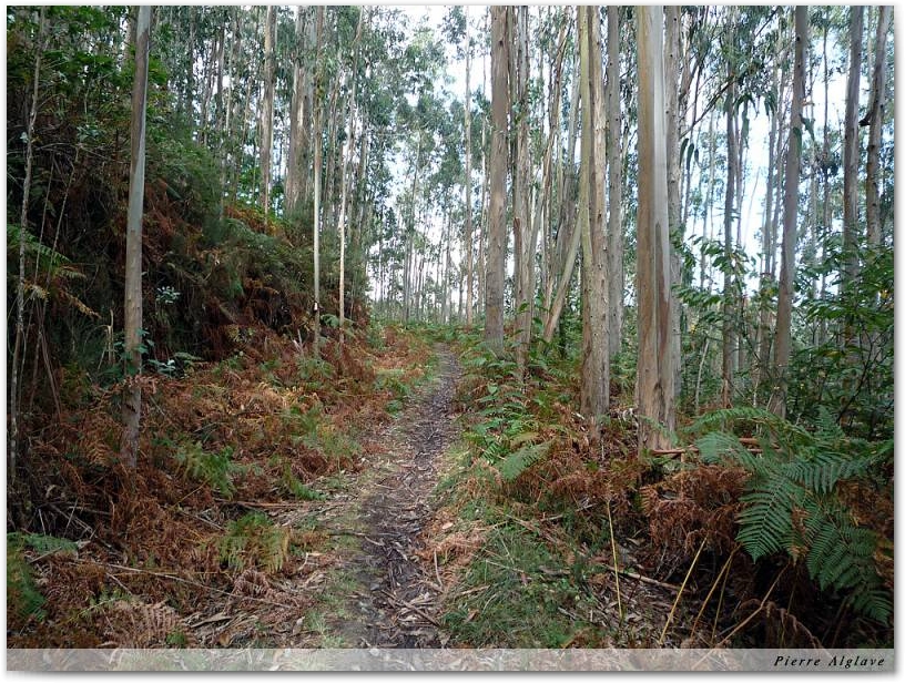 En chemin