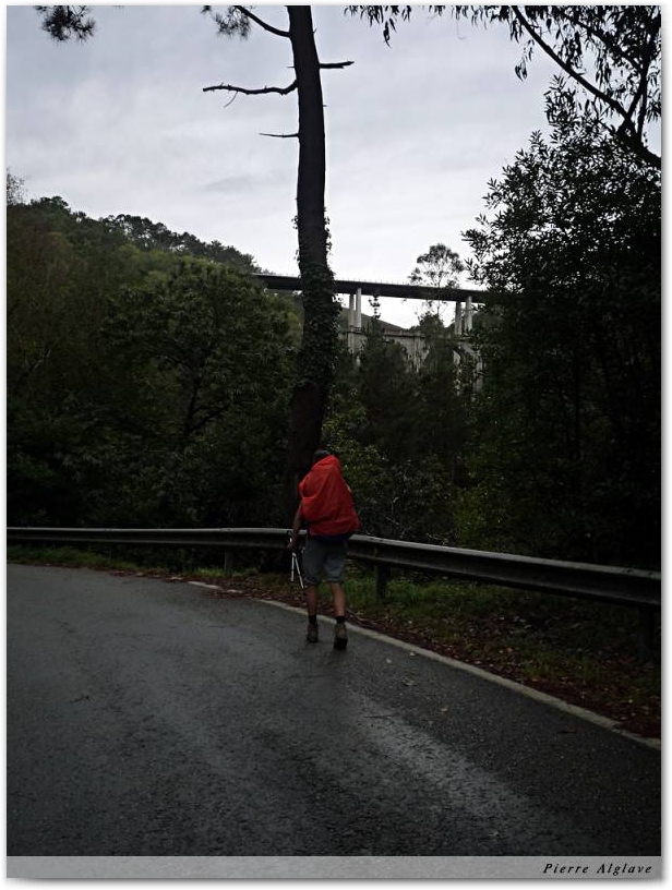 Une petite route bien tranquille