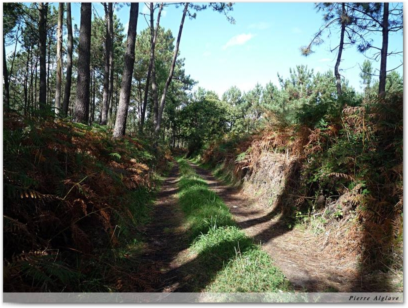 En chemin