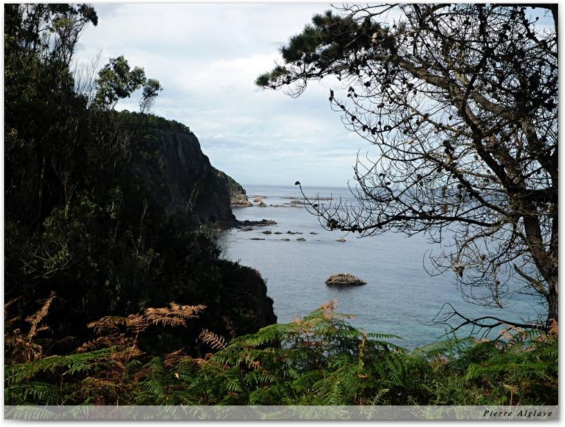 Une jolie petite anse