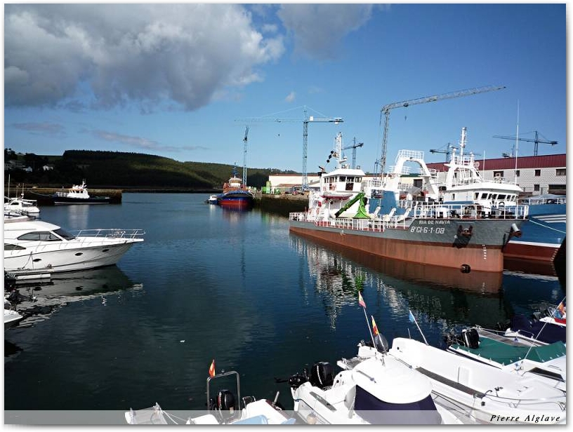 Navia