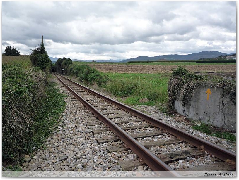 Le chemin