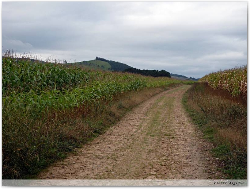 Le Chemin
