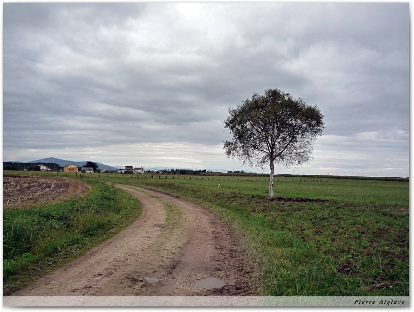 En chemin