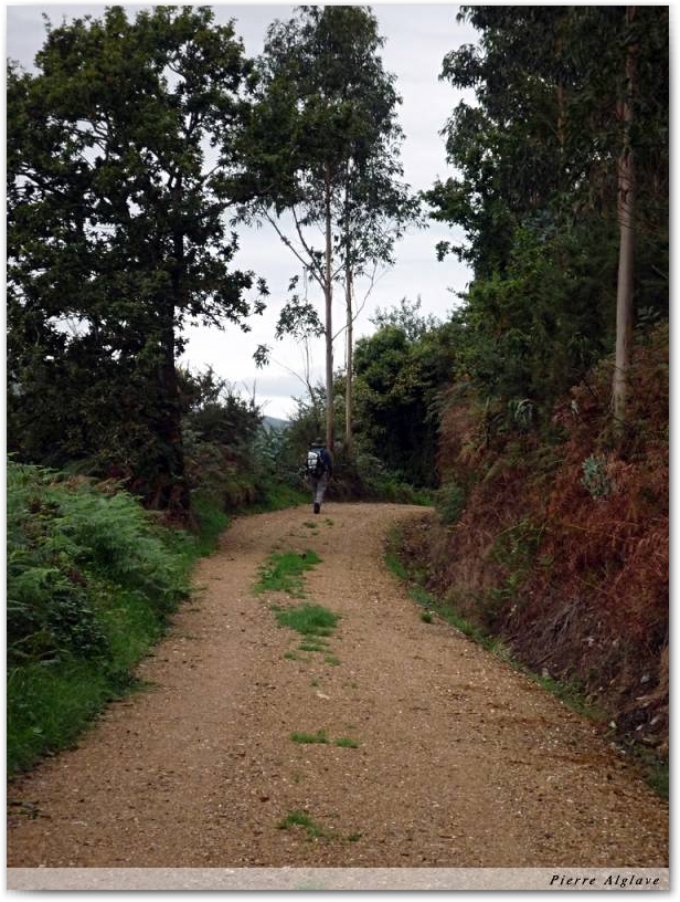 Le chemin