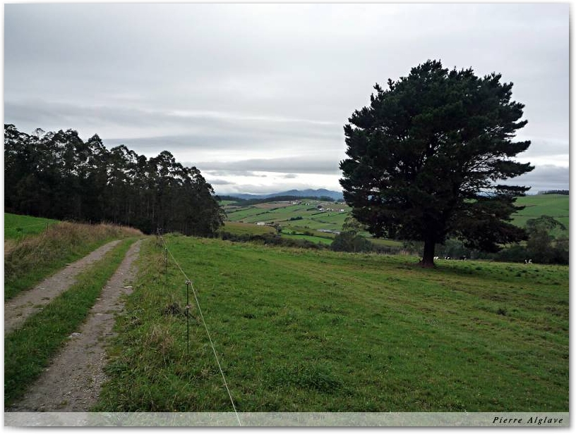 Le chemin