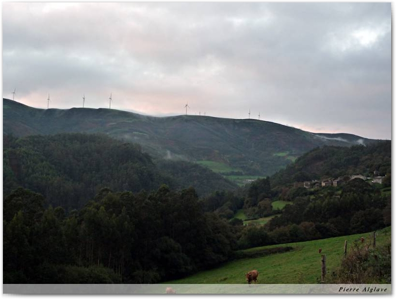 Petit matin