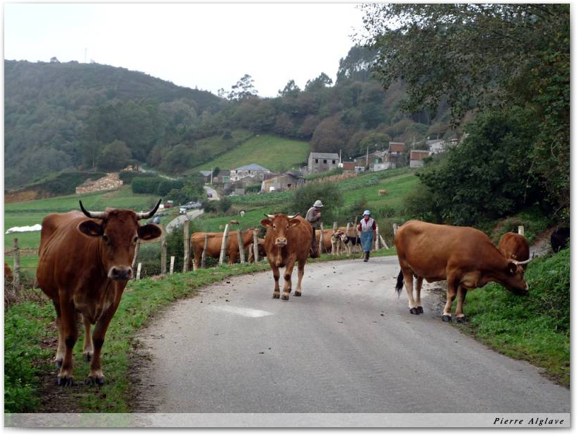 Compagnonnes de route