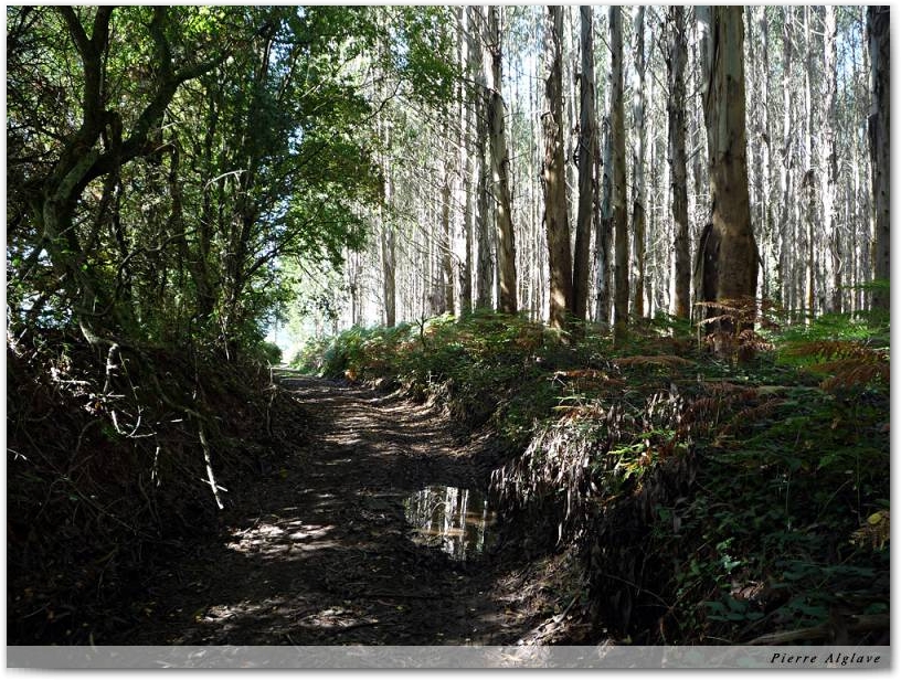 En chemin