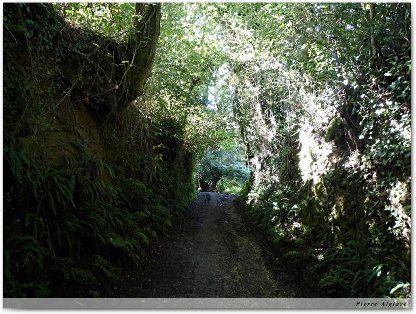 En chemin