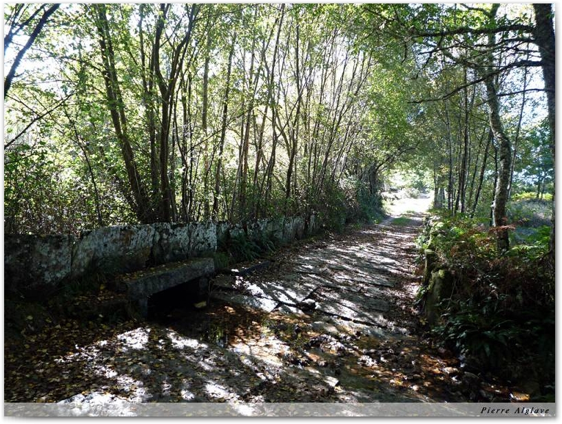 En chemin
