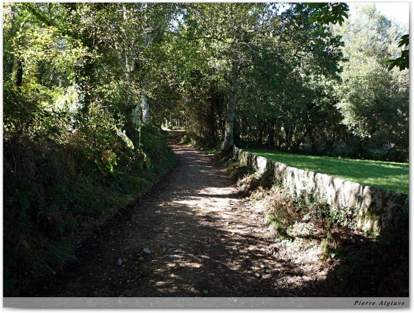 Chemin et pierres levées