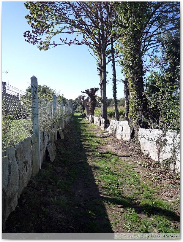 En chemin