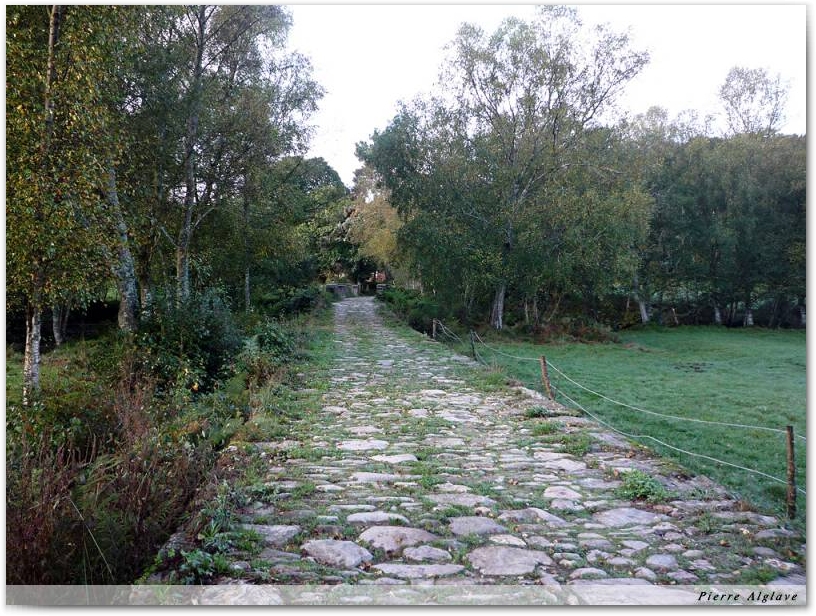 Le chemin