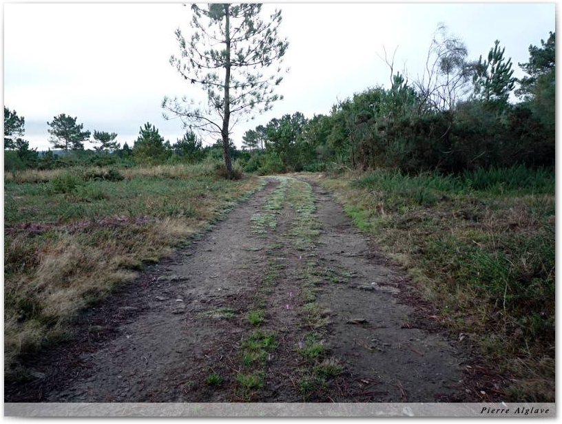 Le chemin