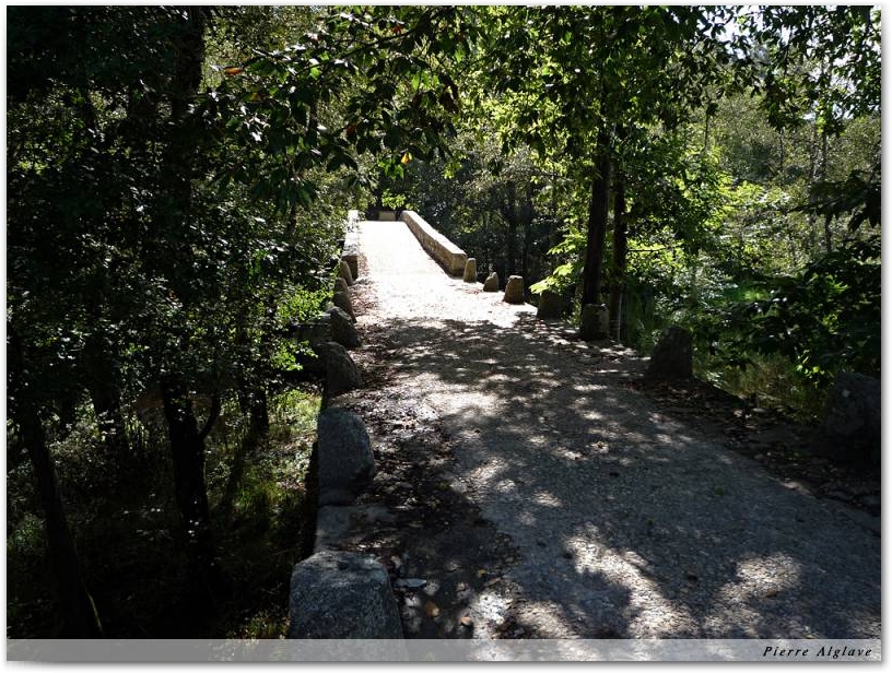 Pont sur le rio Parga