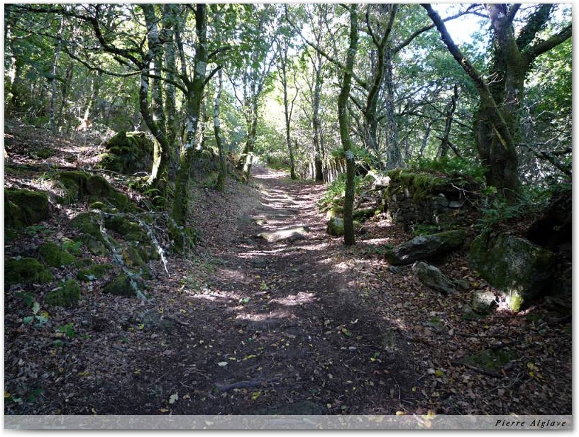 En chemin