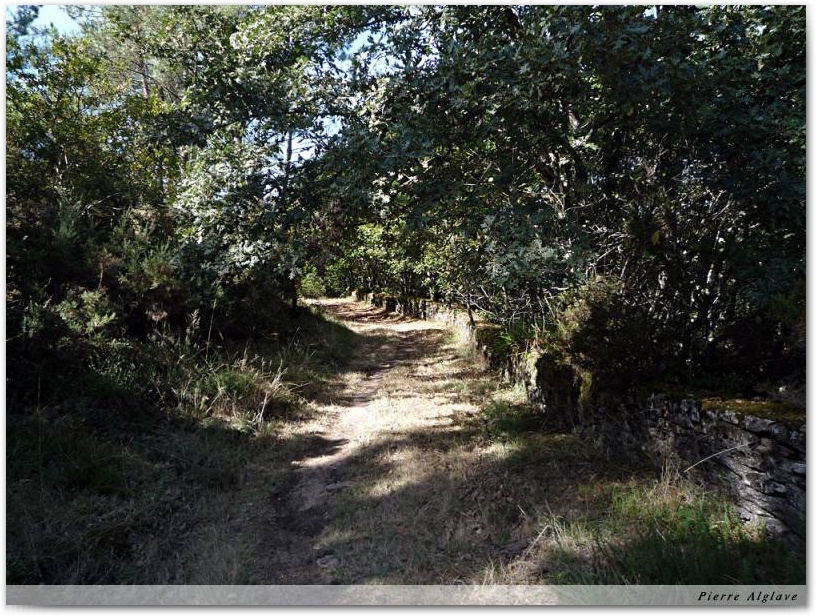 En chemin
