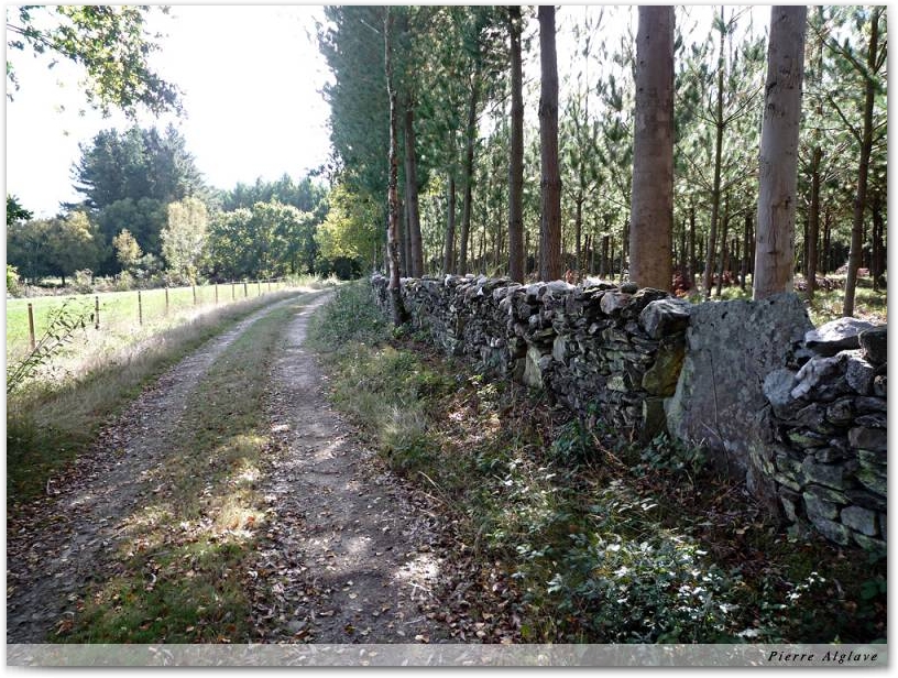 En chemin