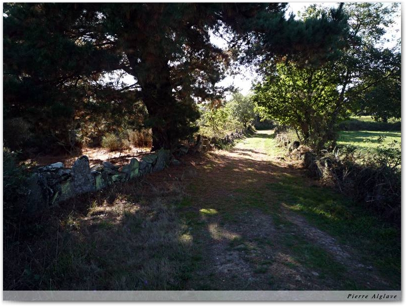 En chemin