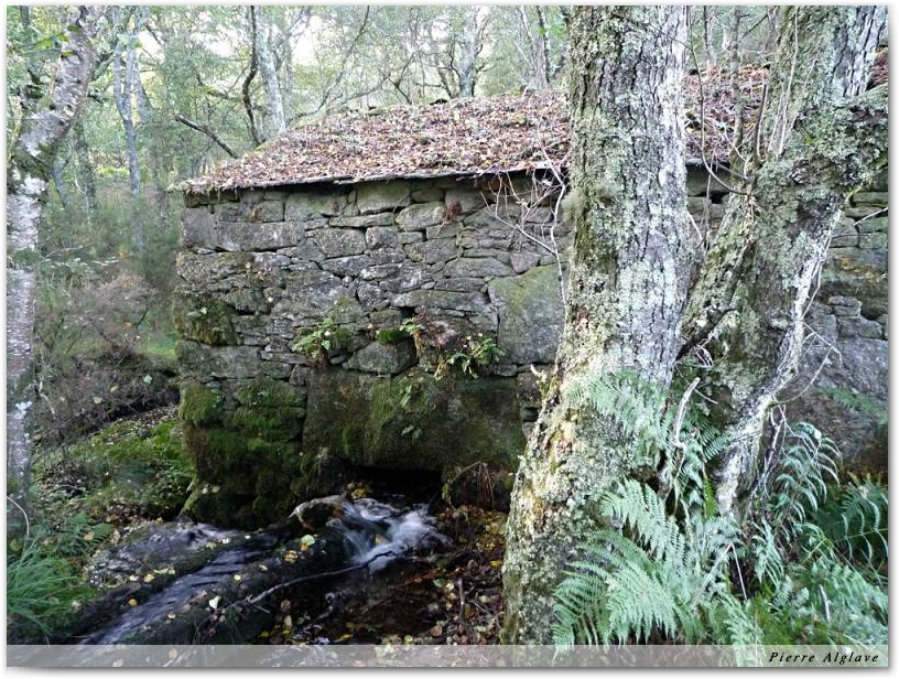 Moulin à eau