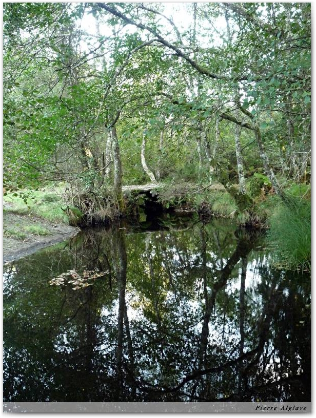 Moulin à eau