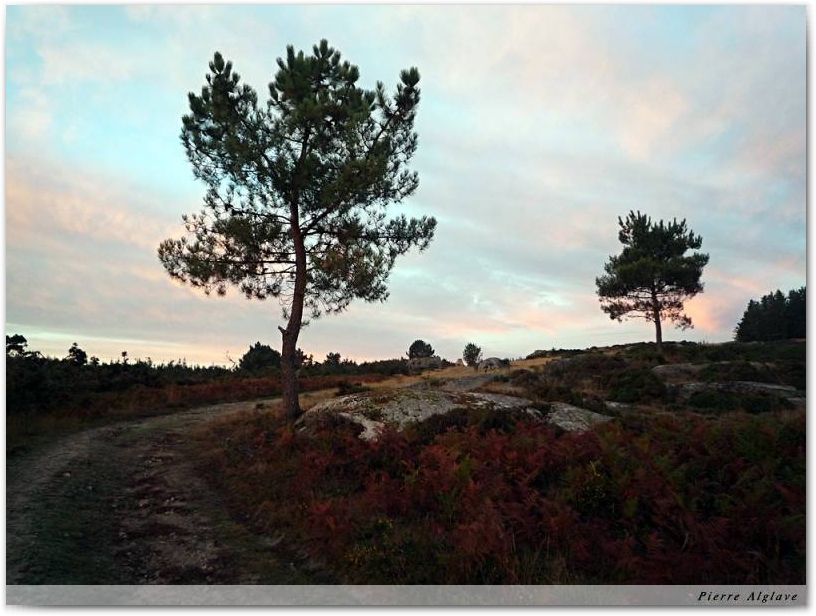 Le chemin