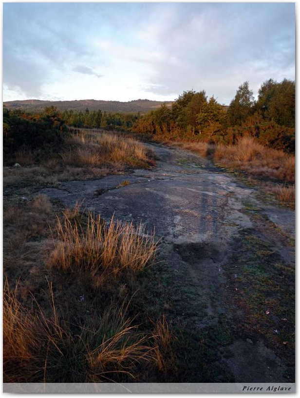 Le chemin