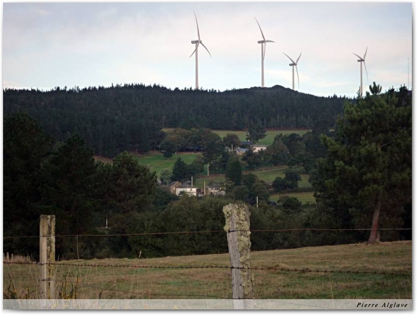 Mes amies éoliennes
