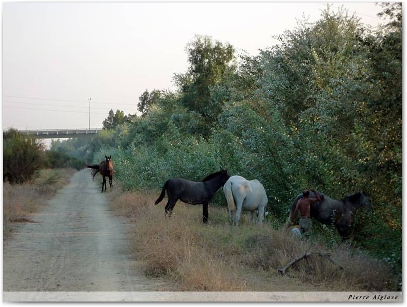 Le chemin
