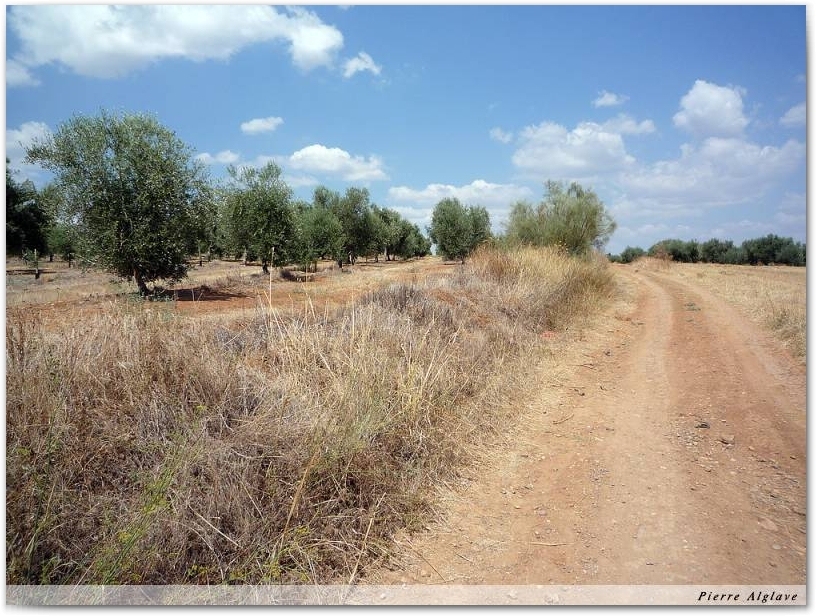 Le chemin